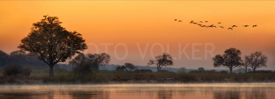 Okavango-Dawn3              
